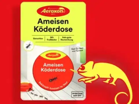 Referenzprojekt AEROXON: Google Ads · Performance