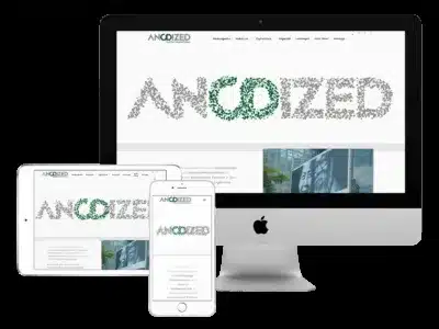 Referenzprojekt Anodized: Webdesign · SEO